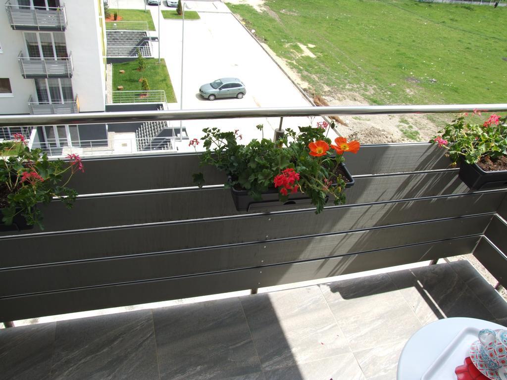 Anca Apartment Брашов Экстерьер фото